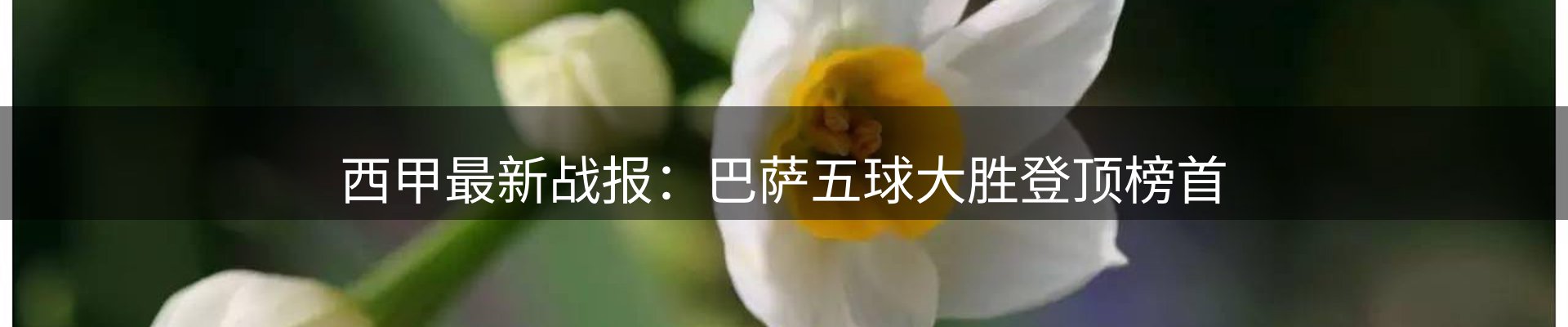 内页banner